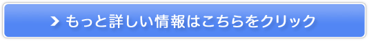 ɓ̃v~A؃W[XuY؁v̔TCg